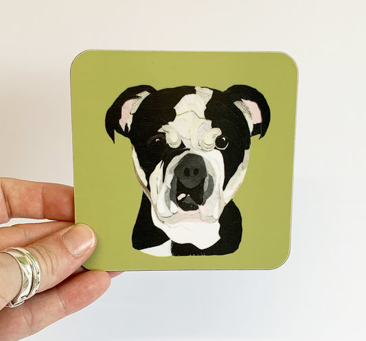 Bulldog Coaster