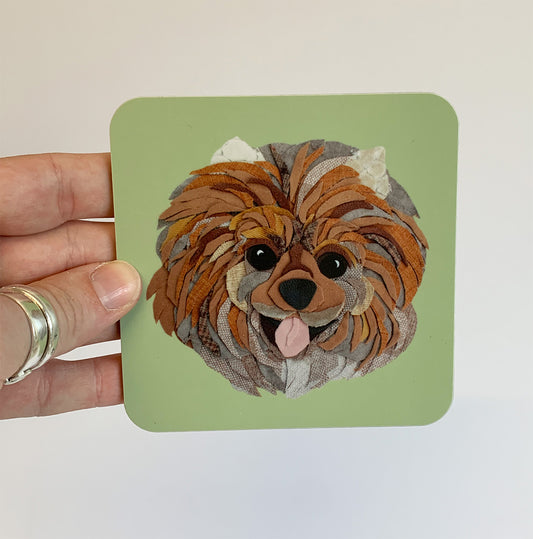 Pomeranian Coaster