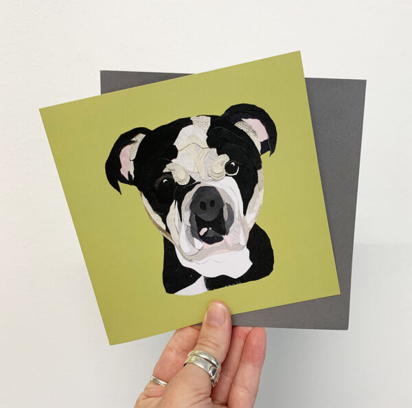 bulldog card